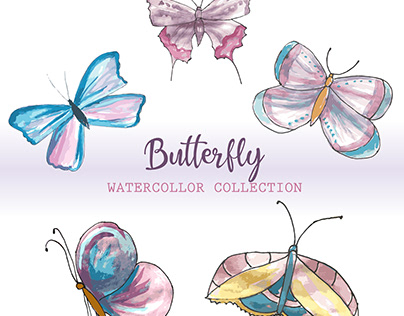 Butterfly watercolor