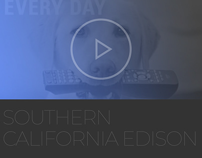Consumer Video: SCE and Best Buy