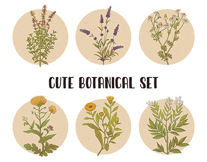 Cute botanical set