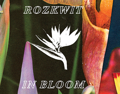 In Bloom (cultural event) / Visual identity & poster