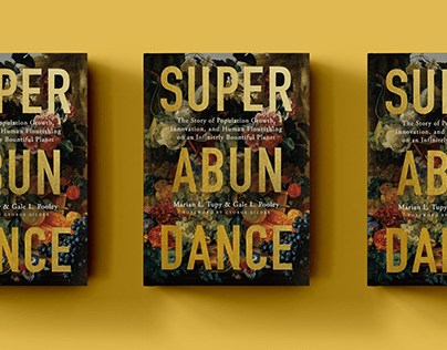 Superabundance Book Cover