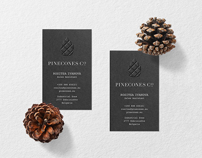Pinecones Co | Branding