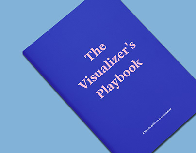 The Visualizer's Playbook