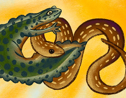 triturus and snake