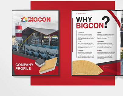BIGCON - Branding Development