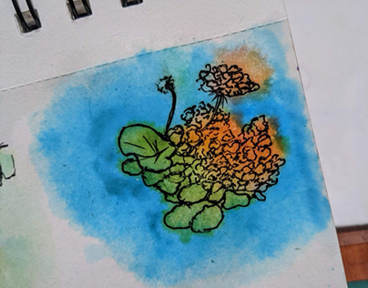 Sketching with watercolour