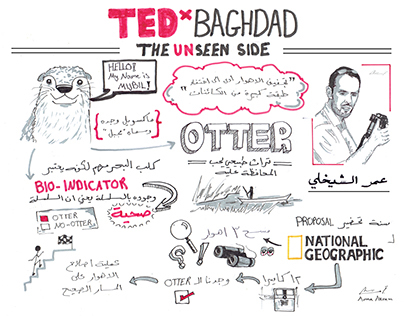 TEDxBaghdad 2015 Sketchnotes - Talks