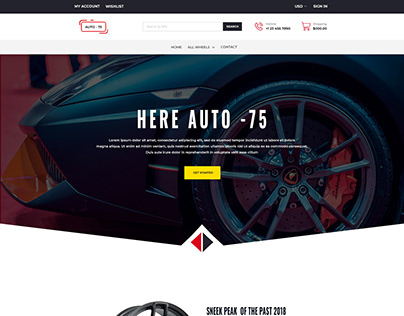 Car Rims Website