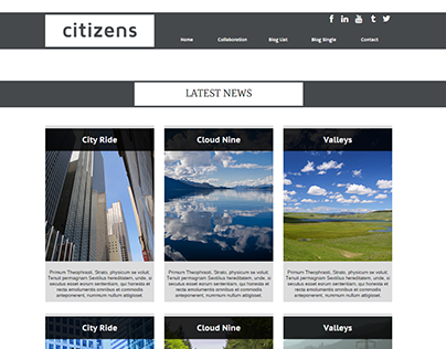 Citizens Bloggers Website Concept