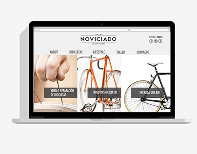 Web Ciclos Noviciado