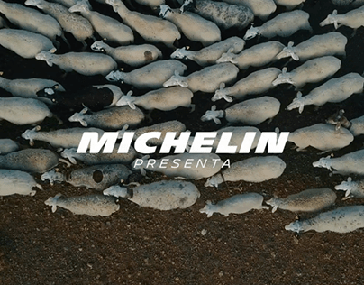Michelin. CrossClimate Sharing.