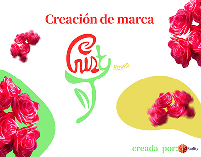 Cristy roses (rosas manuales eternas)