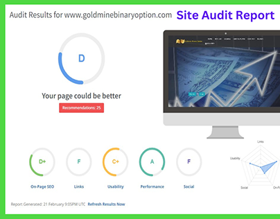 Site Audit Report