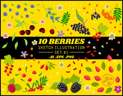 Berries sketch illustration set #1