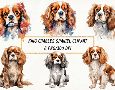 Cavalier King Charles Spaniel Watercolor Clipart