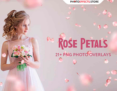 21+ Rose Petals Photo Overlays