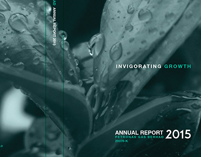Annual Report Cover (Redesign)