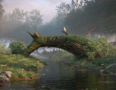 A natural bridge