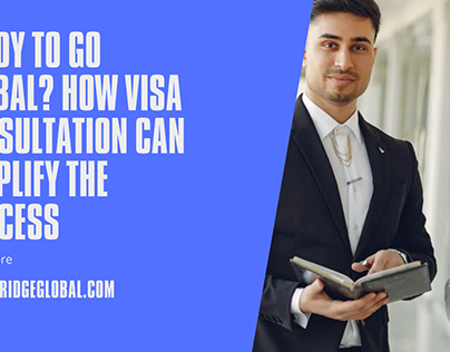 How Visa Consultation Can Simplify the Visa Process