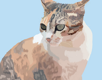 Project thumbnail - Calico kittie