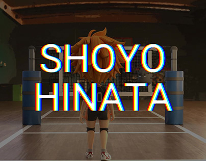 Shoyo Hinata Animation 2023/12/01