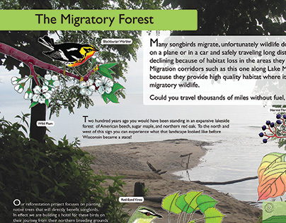 The Migratory Forest