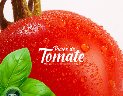 Régal Purée de Tomate