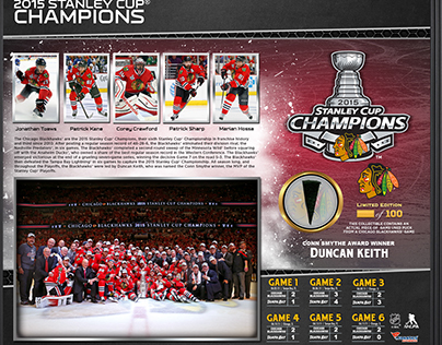 Chicago Blackhawks Stanley Cup Champions 15x17
