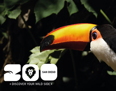 Branding - Zoo San Diego