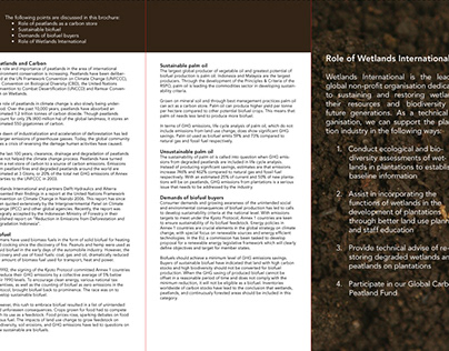 Z-Fold Brochure for Wetlands International
