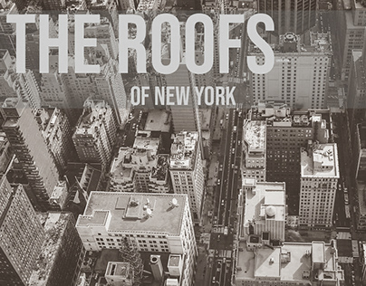 The Roofs of New York