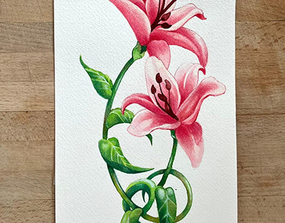 Watercolour Lillies