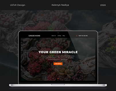 Website design for a succulents store