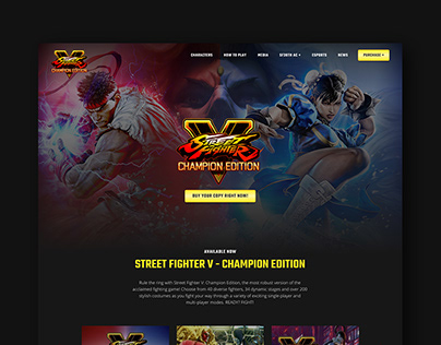 Street Fighter - Concept website