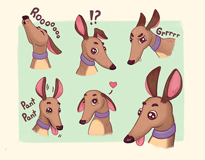 Dog Expressions