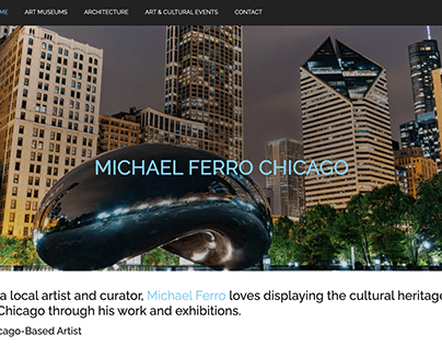 Michael Ferro Chicago Website