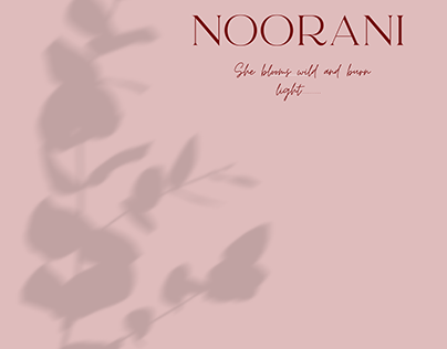 NOORANI (INDUSTRY WORK)