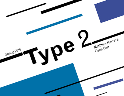 Type 2 Process Book