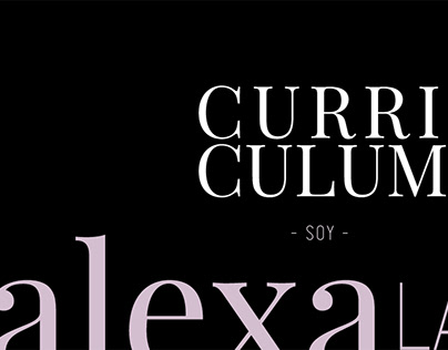 Project thumbnail - CURRICULUM VITAE ALX