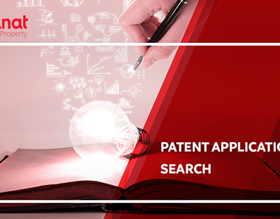 What Is Patent Application Search