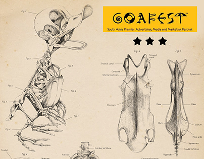 GoaFest Finalist_Abby2013_MAAC Animation