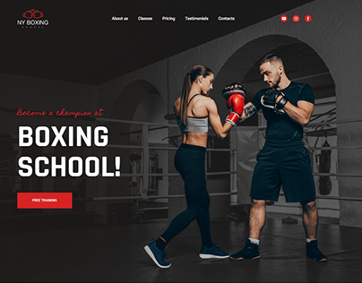NY Boxing Website