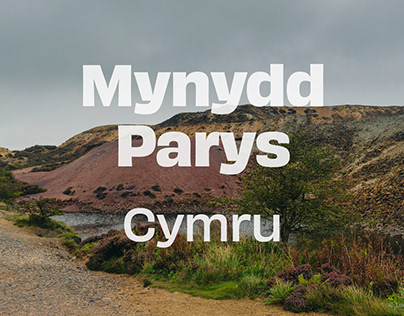Mynydd Parys, Cymru