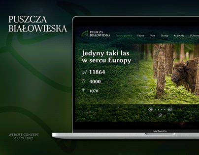 Puszcza Białowieska - website concept