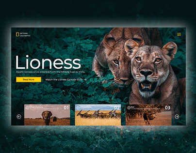 National Geographic Design
