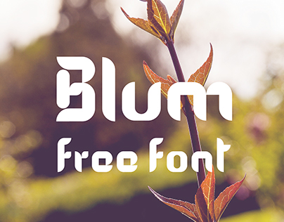 Blum free modular font
