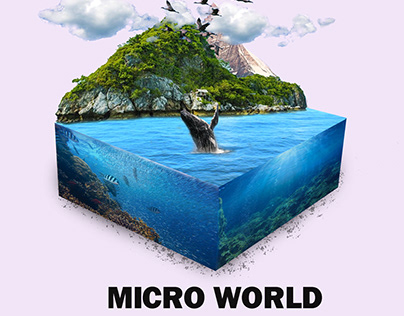 micro world 1