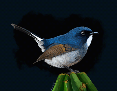 Digital Painting - Birds of Paradise
