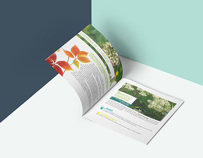 Booklet corporate : herbier collaboratif