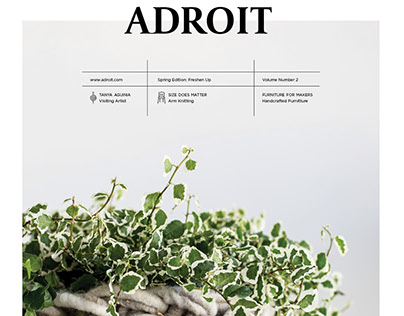 Adroit Magazine